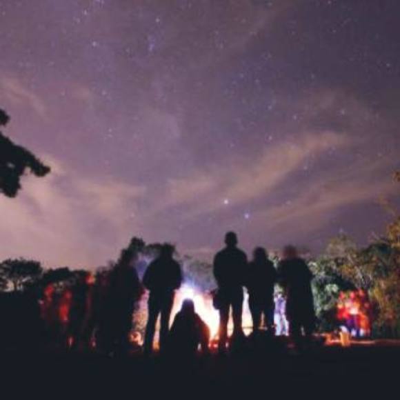 Meet your Posher, Vicky - Picture 1 of 1